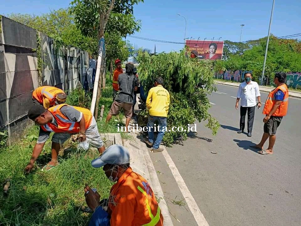 Ranting Pohon Akses ke Tanjung Metro Jadi Perhatian Camat